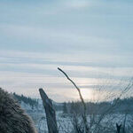 'The Revenant': Leonardo DiCaprio and Tom Hardy in a Brutal Tale of Survival and Revenge