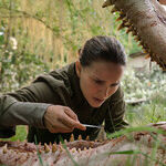 'Annihilation': Natalie Portman in a Brilliant and Semi-Baffling Fantasy