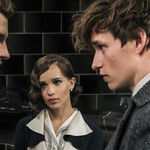 'Fantastic Beasts: The Crimes of Grindelwald': Eddie Redmayne and Johnny Depp Are the Odd Wizarding Couple of the Year