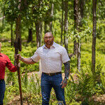 'Knock at the Cabin' and 'to Leslie': Shyamalan's Latest Twist and a Most Unexpected Oscar Nom