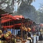 A Tropical Retreat to Zanzibar