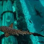 Take the Plunge: Great Water Parks With More Adventures