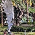 Mother Nature and Money Meet in Palm Beach