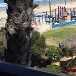San Diego's Hidden Gem: La Jolla Shores