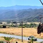 Crazy For Metal: Ricardo Breceda's Whimsical Roadside Attraction
