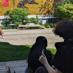 The Arts and High Line Park Are the Pride of Chelsea in New York City