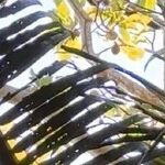 Off the Grid in Southern Belize
