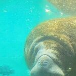 Travelers Engage With Animals at Wildlife Refuges