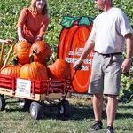 Autumn Activities Make for Family Fun