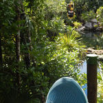 Immersion in Mexico at Experiencias Xcaret