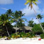 Black Pearls and Blue Lagoons Beckon to the Cook Islands