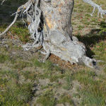 Discover the Natural Beauty of Crater Lake National Park