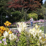 British Columbia Offers Secrets, Surprises