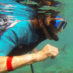 Curacao: Animal Encounters of the Best Kind