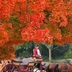 History Lives on in Colonial Williamsburg, Virginia