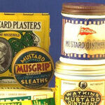 Small, Unusual Museums Yield Big Fun