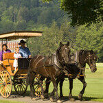 Luxurious Resorts Tell History of America's East Coast