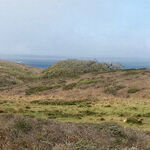Discover Tule Elk Reserve at Point Reyes National Seashore in California