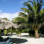See More Than the Beach in Belize