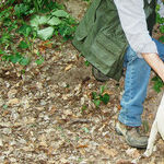 Try Tricky and Tense Hunting for Truffles in Alba, Italy