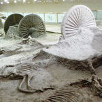 China's Shandong Province Serves up Museums, Culture and Wine