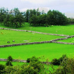 The Poets Were Right About England's Lake District