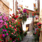 Take a Bite of Colorful, Tasty, Musical Umbria