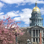 Two Days to Discover Denver's Delights