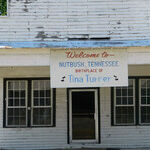 Find Rock and Blues on the Tina Turner Highway