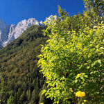 Beauty, Affordability and Safety in Slovenia