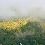 Close Encounters -- in South America