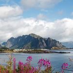 Nature Thrills in Norway's Lofoten Islands