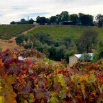 Sip, Taste and Rest in California's Shenandoah Valley Wine Trail