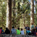 California's Gold Country: Land of Mines, Pines and Wines