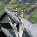 Plan to Get Off the Train in Flam, Norway