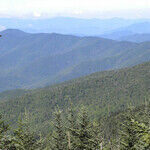 Gatlinburg Is Great for Family Vacations