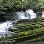 Take a Walk in the Great Smoky Mountains