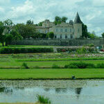 Cruising the Chateaus of Bordeaux