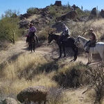 A Magical Ride in Arizona's Sonoran Desert