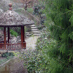 A Southern California Surprise: The Huntington Library and Gardens