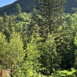 Films and Fun at Utah's Sundance Mountain Resort