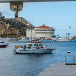 Wrigley's Dream Thrives on Catalina Island