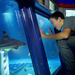 Which California Theme Park Is Right for Your Family?