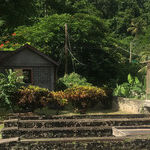 Chocolate and Honey Heaven in Grenada