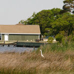 Secluded Shores and Bustling Boardwalks in Virginia