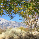 U.S. Highway 395 Leads Back Into California History