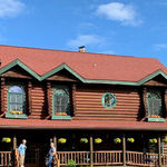 Birds, Bees, Flowers and Frittatas at the Silver Star Inn