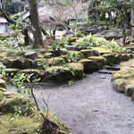 Ring of Fire: Kagoshima, Japan