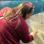 Ripley's Aquarium of the Smokies Offers a Day Filled With Fun