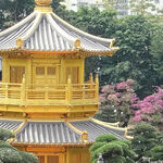 Celebrate Chinese New Year in Hong Kong